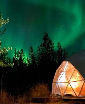 Aurora Igloo Fireplace-heated Tents in a secret forest with private Jacuzzi and shared sauna bathroom and dog friendly